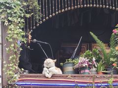 -磁器口古镇