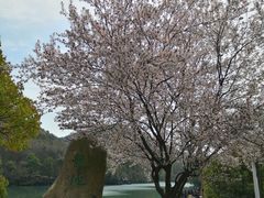 -白马涧龙池景区
