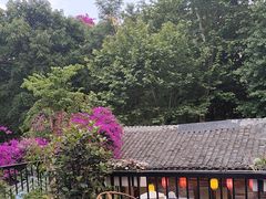 -院8里·少城记忆老川菜(宽窄巷子店)