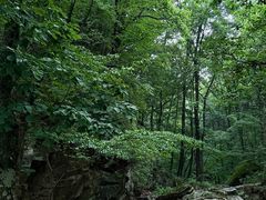 -洛阳白云山景区