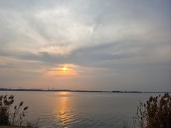 -漕湖湿地公园