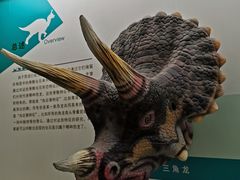 -安徽省地质博物馆