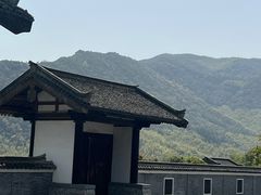 -大唐贡茶院