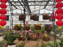 -石家庄市植物园