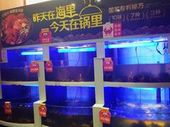 水产区-七欣天香辣蟹火锅(无锡金太湖国际城店)