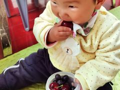 -盒马鲜生(联投广场店)