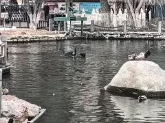 -水磨沟公园