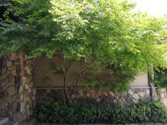 -浙江安吉JW万豪酒店·万豪中餐厅