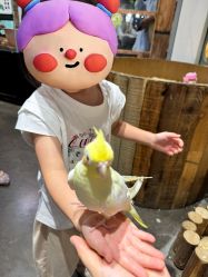 -Zoolung Zoolung动物主题公园(海信广场店)