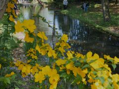 -上海共青森林公园