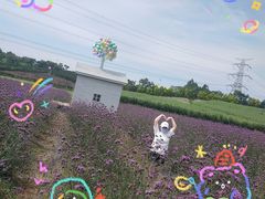 -紫颐香薰山谷景区