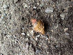 -云岫谷游猎自然风景区