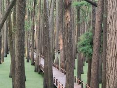 -青山湖景区