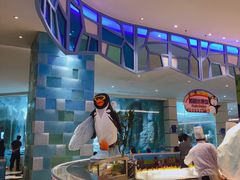 -帝企鹅自助餐厅•儿童岛•真企鹅(长隆企鹅酒店)