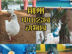-荆州中山公园动物园