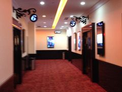 -AMG海上明珠影城(上海环球港RealDCinema店)