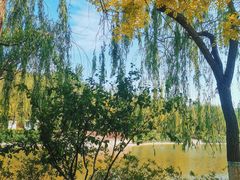 -南翠屏公园