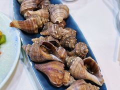 白灼小海螺-威海渔村(静安旗舰店)