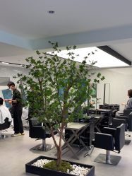 -付军剪艺JF ProSalon