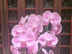 -北京四季酒店·采逸轩