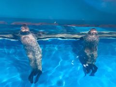 -梦幻海洋王国(吾悦广场张家港店)