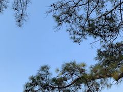 -东湖磨山景区