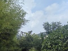 -泰安东尊华美达广场酒店(泰山景区店)