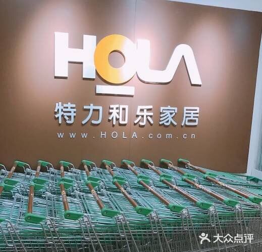 特力和乐是一家很低调的家居店