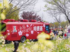 -苏州上方山国家森林公园