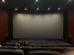 -深影国际影城(学院南路店CGS中国巨幕店)
