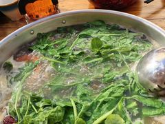 -金鼎雪山牦牛杂火锅(理县总店)