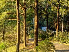 -广东花都湖国家湿地公园