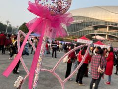 -宝能国际体育演艺中心