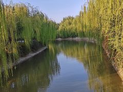 -南翠屏公园