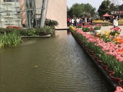 -南山植物园