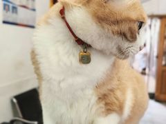 -牛市口盲人按摩(舒康分院)