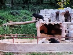 -清迈夜间动物园