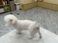 -芭比堂动物医院·24小时·眼科中心(深圳中心)
