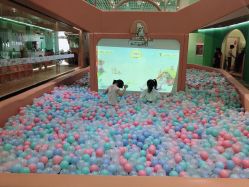 -泡泡米POPOME益智乐园(洪殿花园旗舰店)