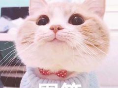-俭让佬妈现卤串串(温江总店)