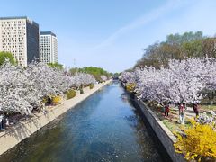-海棠花溪(元大都城垣遗址公园)