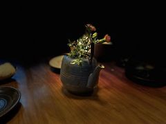 -初花·日本料理