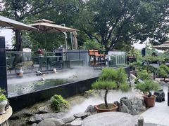 -蘇河湾·新鲁菜·泰山宴(泰山店)