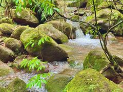 -赤水丹霞旅游区·佛光岩