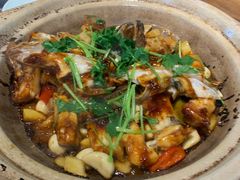 砂锅鱼头-鹅城粤菜馆(白云山路店)