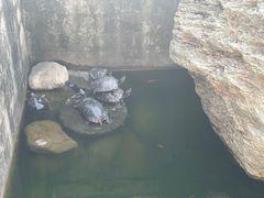 -南京市江宁方山