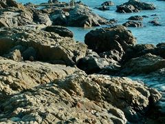 -西涌国际滨海旅游区