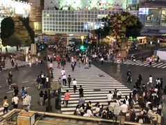 -涩谷全向十字路口