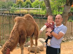 -泉州海丝野生动物世界