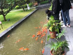 -南宁荔园维景国际酒店·荔园中餐厅